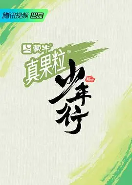 《少年行》：热血青春，梦想启航！一段关于勇气与成长的史诗之旅