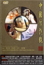 《中国性戏大观》：揭秘尘封历史，窥探禁忌艺术，一场大胆而深刻的文化之旅！